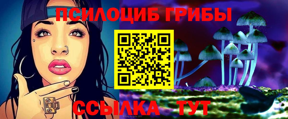Псилоцибиновые грибы GOLDEN TEACHER Канск